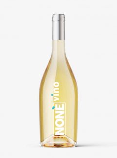 Bianco Trevenezie IGT Semi-Sparkling Wine