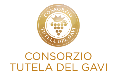 Consorzio Tutela del Gavi