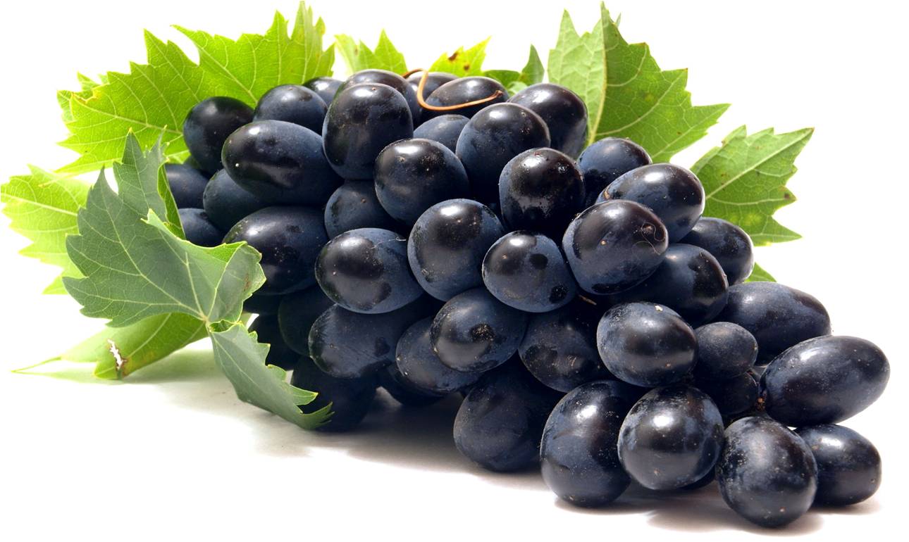 Various Black Grape